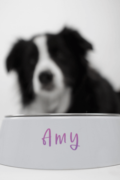 Hundenapf mit namen