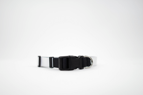 Hundehalsband selbst Gestalten (S)