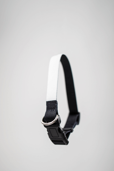 Hundehalsband selbst Gestalten (S)