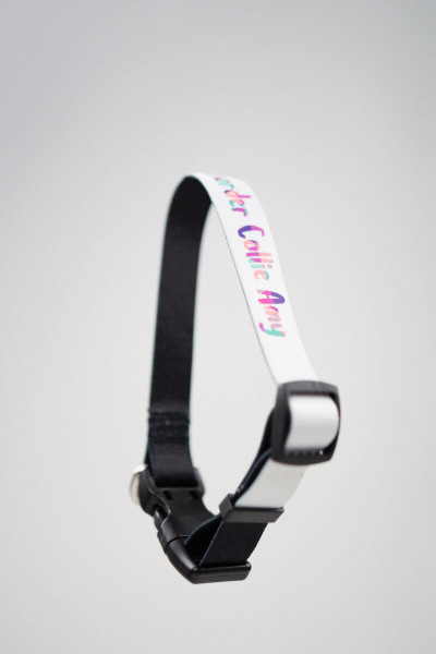 Hundehalsband Bedrucken mit Stabilem Verschlussclip (M)