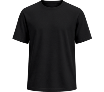 SOL'S Regent 150 T-Shirt