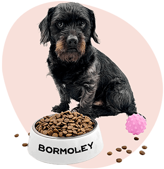 Hundenäpfe oder Bandana bedrucken und selbst gestalten